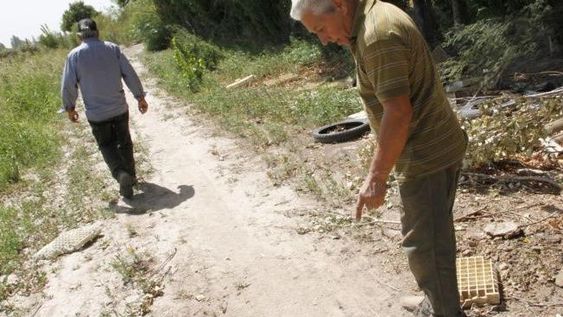 No hubo nuevas denuncias por el supuesto puma de Pocito y sigue el misterio