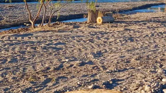 Acción. El municipio de Calingasta ya empezó la obra del nuevo balneario.