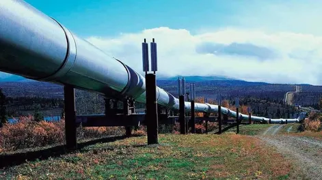 El gasoducto de Vaca Muerta “estará apto para funcionar el 20 de junio de 2023”