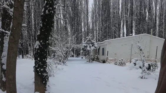San Juan, bajo nieve: Ullum se sumó a Jáchal y Pedernal