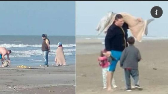 Un hombre pescó un delfín en peligro de extinción y se lo llevó envuelto en mantas