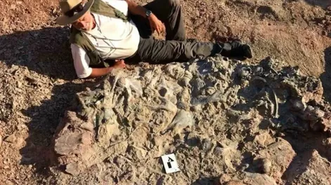 Diario de Cuyo | EL RECIENTE HALLAZGO DE HUELLAS fósiles de dinosaurios en la llamada Formación Santo Domingo fue en una capa rocosa de 220 millones de años y ubicada a 4.230 metros sobre el nivel del mar, en el Departamento Iglesia. Fue en el marco de los trabajos de