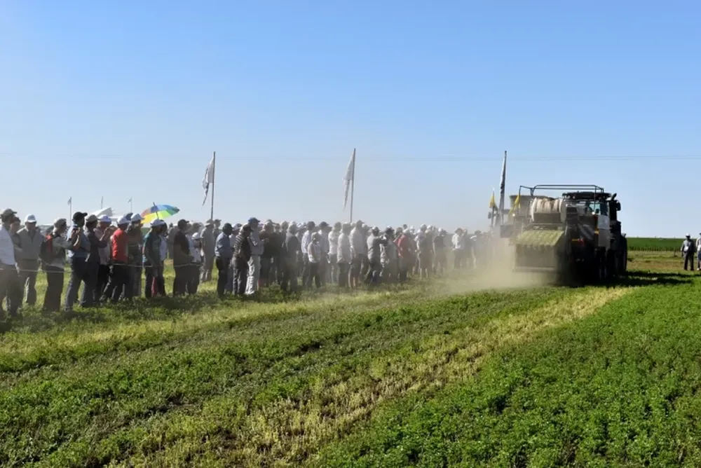 Forrajes: el sector más equipado de la agricultura sanjuanina