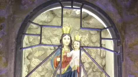La Patrona del Agro caminará por San Juan