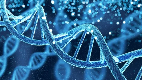 Los genes pueden influir en varias cosas. (Foto: Adobe Stock)