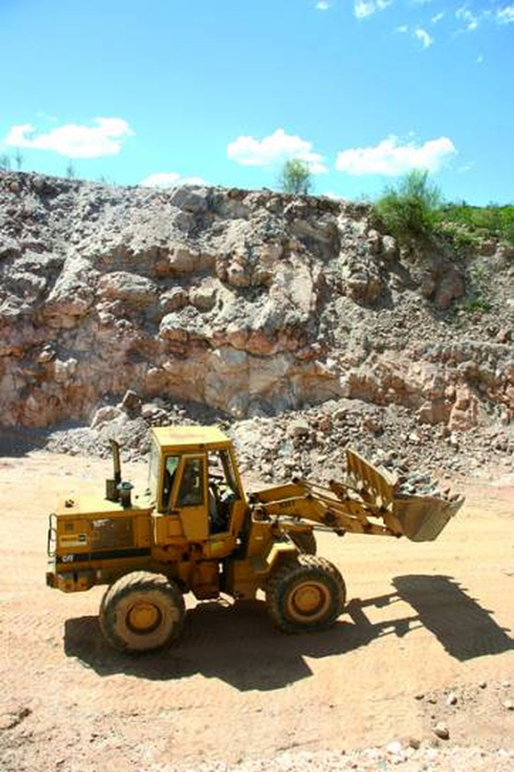 Estudios de base disponibles a productores