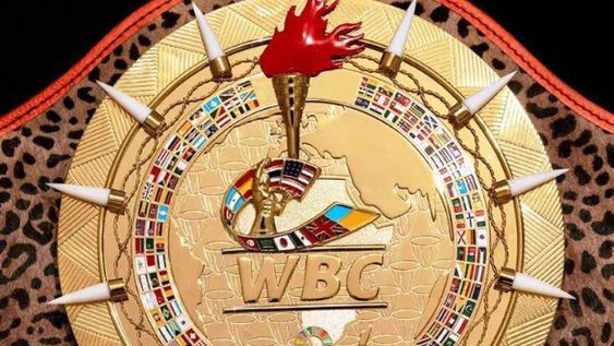 HOMENAJE al choque de Alí y Foreman