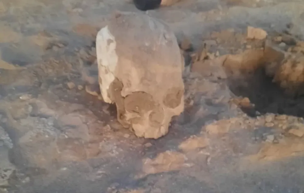 Creen que no se conocerá hoy si el cráneo encontrado en Ullum pertenece a Tellechea