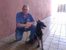 Roberto Bastianelli es un conocido conductista canino de San Juan y opinó sobre las llamadas razas peligrosas. Roberto Bastianelli es un conocido conductista canino de San Juan y opinó sobre las llamadas razas peligrosas.