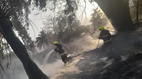 [FOTOS Y VIDEOS] Así quedó el lugar donde se originó el incendio en cercanía de Casa de Gobierno