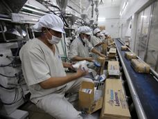 paritarias azucareras: trabajadores del ingenio ledesma acordaron un aumento del 30% en el salario basico