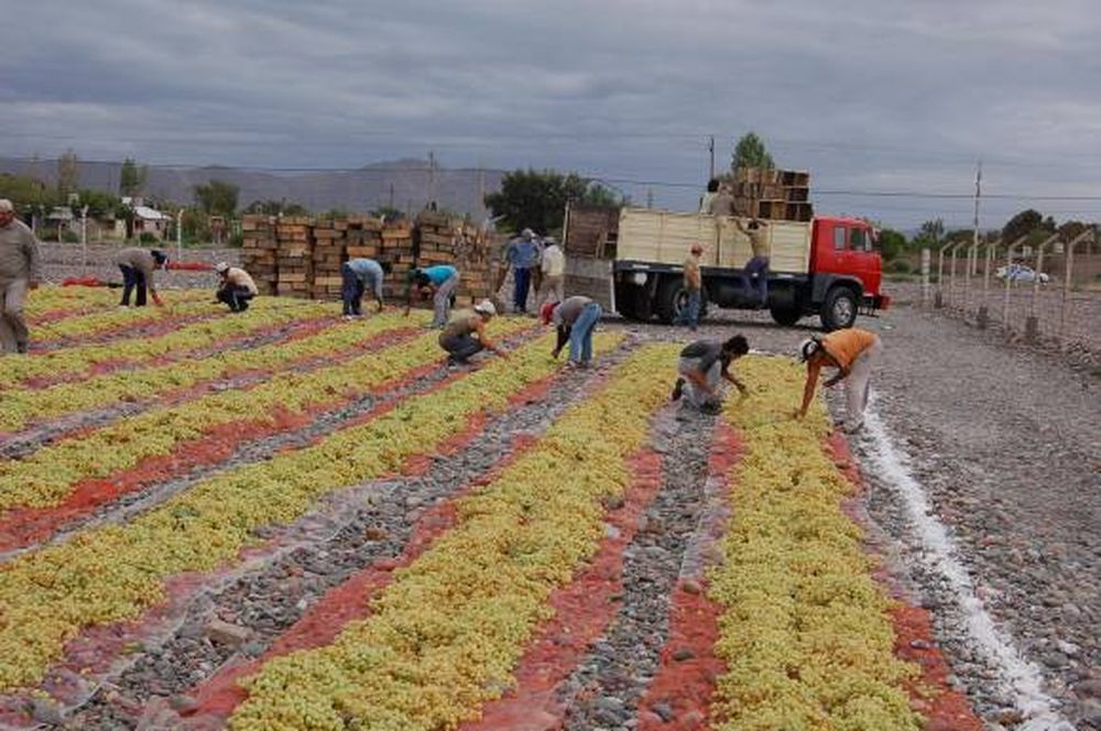 Empresarios buscan reflotar vieja ley de exportaciones