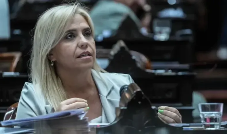 La diputada Nancy Picón.-