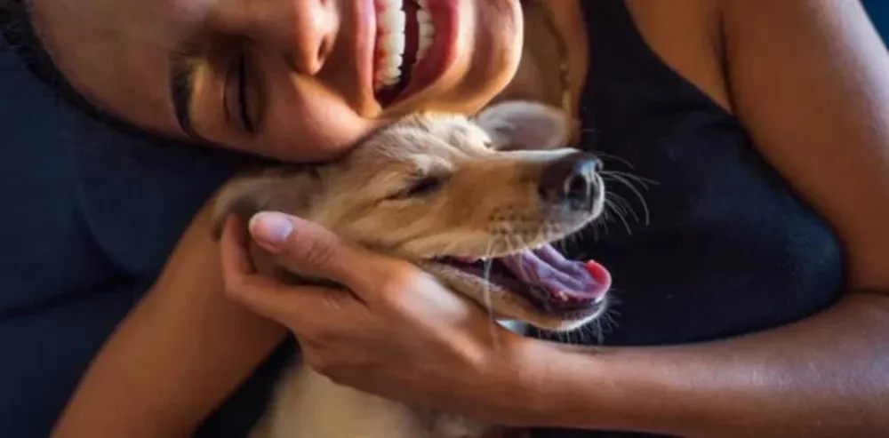 Una por una, las cosas que odian los perros de los humanos