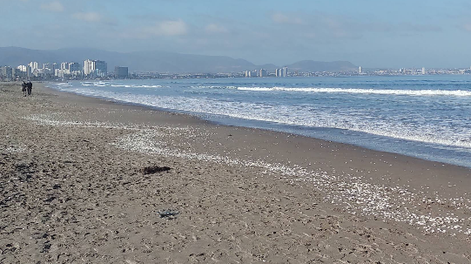 Playa Cuatro Esquinas, La Serena, Chile.