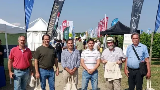 Robótica y calidad anclada al origen para los vinos italianos