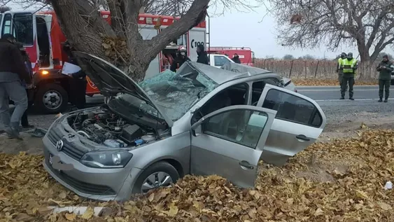 Docente, grave al chocar en auto contra un árbol ¿iba muy rápido?