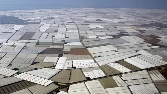 El mar de plástico de Almería: ¿gran huerto solar?