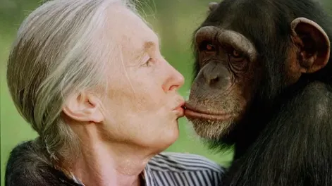 Jane Goodall.