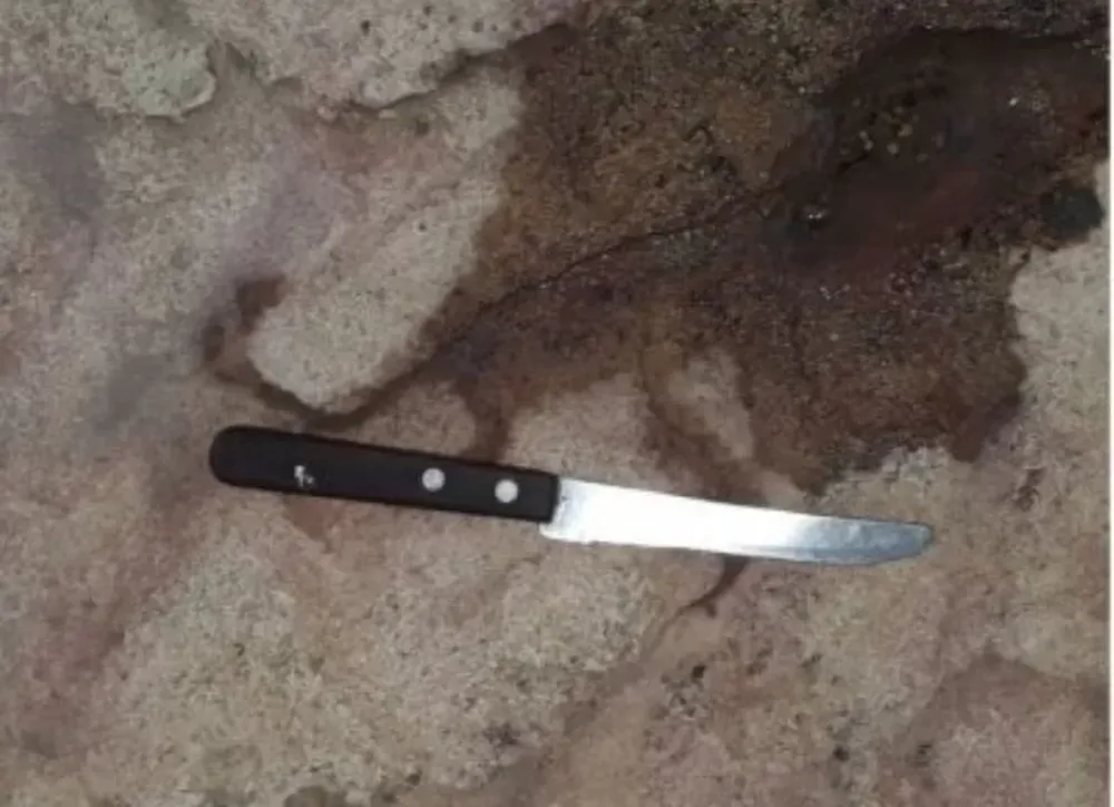 En plena Navidad, una mujer fue golpeada por su pareja y sus dos cuñados