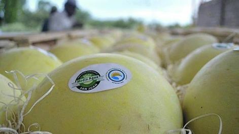 Recuperación comercial para el Melón de Media Agua-San Juan