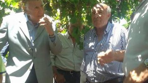 La empresa Convino comienza esta temporada a secar pasas en parral