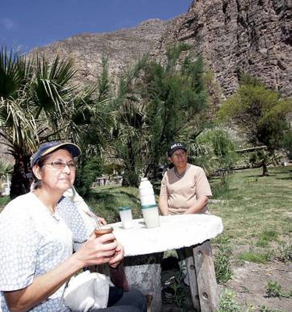 El resurgir de entre cenizas