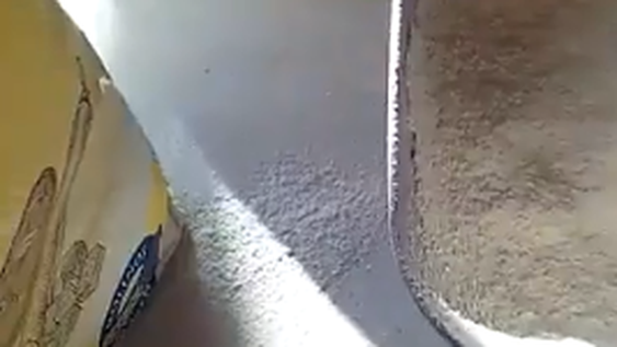 Sanjuanina compró un paquete de harina y encontró una desagradable sorpresa adentro