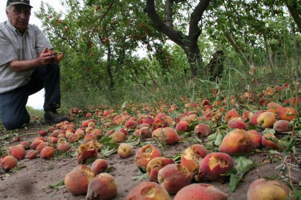 Subsidios para sueldos: 40% menos beneficiarios