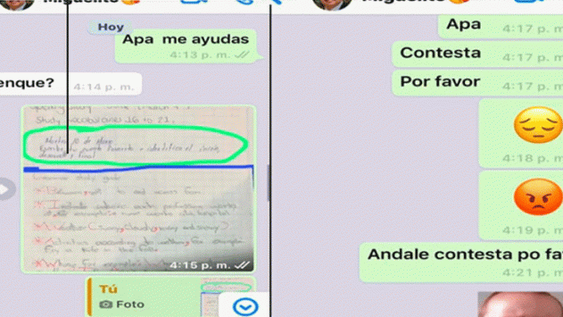 Le pidió ayuda a su papá con la tarea, copió literalmente su respuesta y se hizo viral