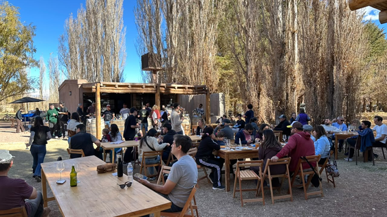 feria comunal, la propuesta que nacio de cuatro amigos y hoy es reflejo de identidad productiva en calingasta
