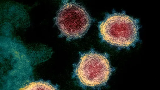 Covid-19: confirman 144 nuevos contagios y ascienden a 3.288; se sumaron 8 muertes, para totalizar 159