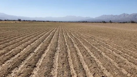 Productores jachalleros dialogaron con autoridades para ver opciones