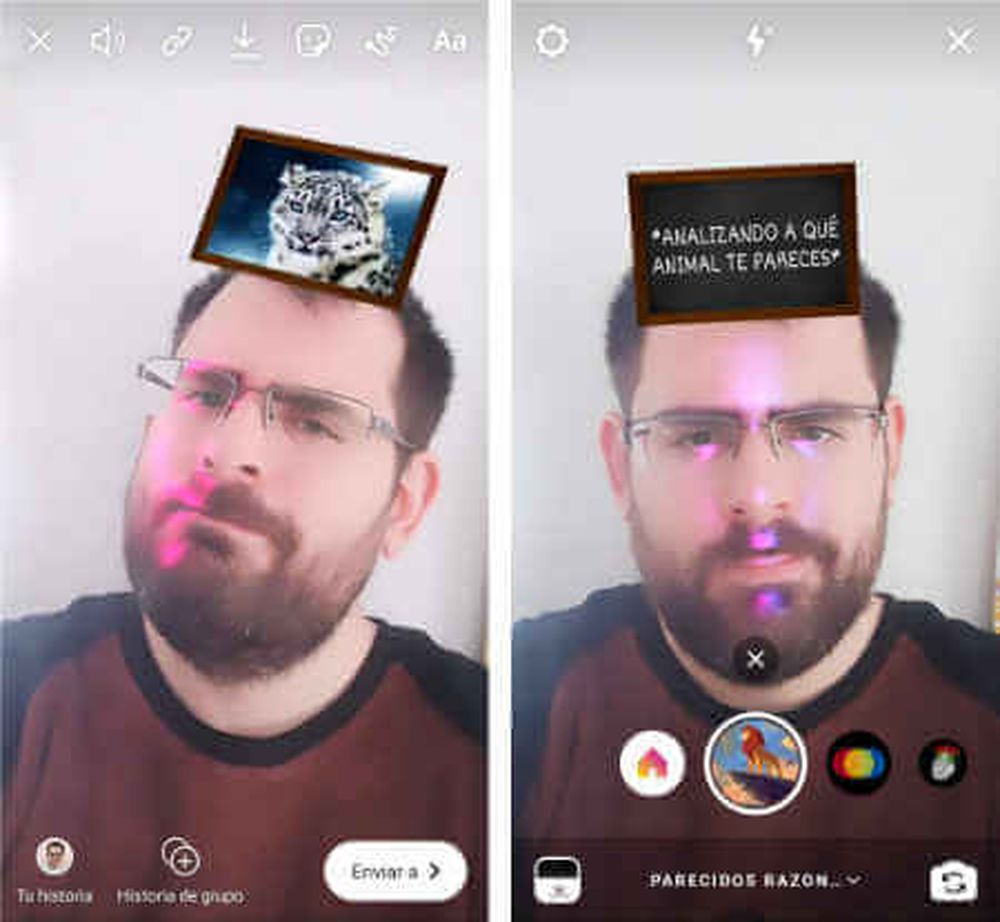 Cómo usar “A qué animal te parecés”, el filtro de moda en Instagram