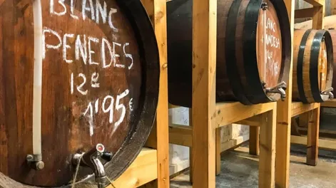 Diario de Cuyo | f1p3_verde 728x546.webp