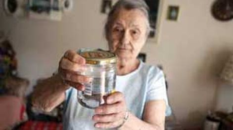 EEUU sufre la mayor plaga de chinches en medio siglo