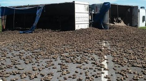 Imagen ilustrativa.-