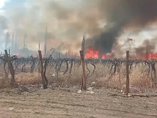 Incendio de parrales.