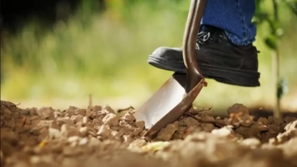 Cerró su joyería, escondió “tesoros” en lugares públicos y vende las pistas por internet