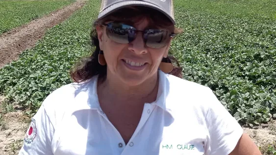 Los melones se expresan mejor en la zona de Media Agua, San Juan