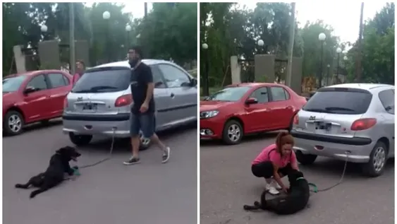 [VIDEO] Ató a su perro al auto y lo arrastró a lo largo de 7 cuadras