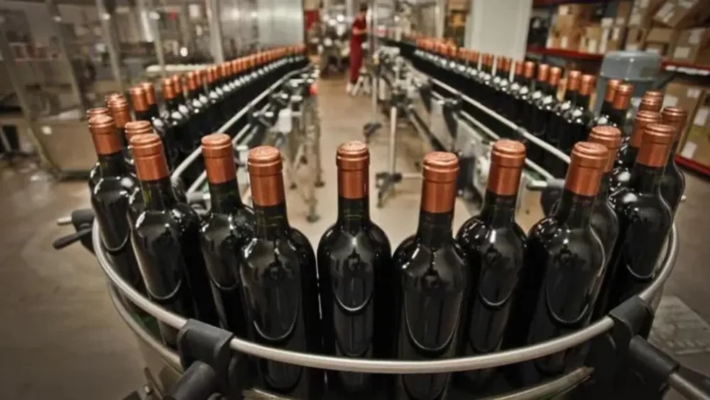 La vitivinicultura sanjuanina, en problemas.