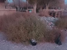 en pocito: una pareja con un frondoso prontuario fue detenida por ingresar a robar a una vivienda en pocito: una pareja con un frondoso prontuario fue detenida por ingresar a robar a una vivienda