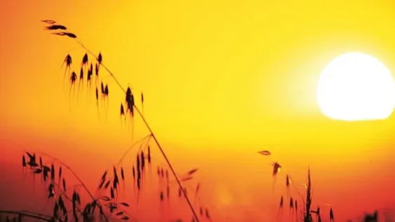 Recomendaciones ante las altas temperaturas