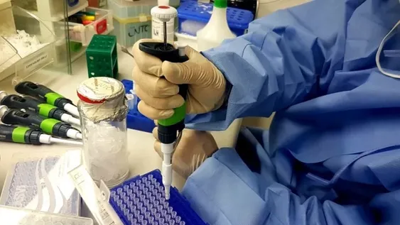 Brasil reportó cuatro casos de flurona, los primeros en América