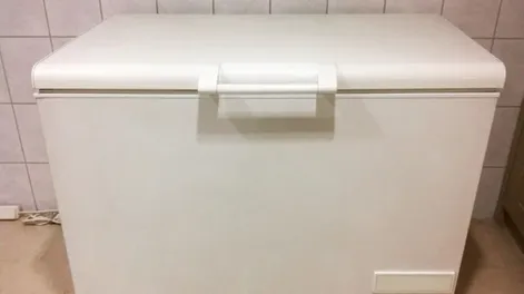 Notó que hace tiempo no veía a su madre y la halló muerta en un freezer de la casa