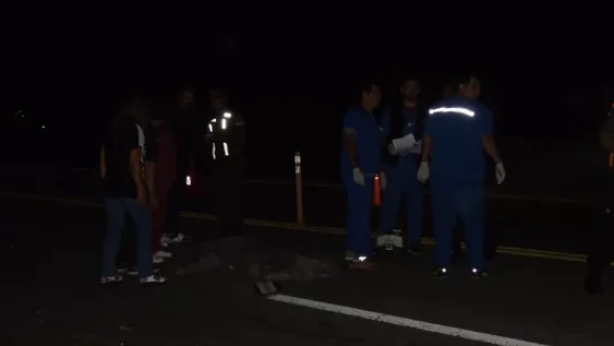 Dos trabajadores rurales, las víctimas del accidente fatal en Sarmiento