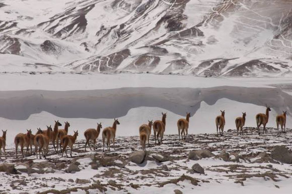 Operativo invierno: un mes de reservas de todo