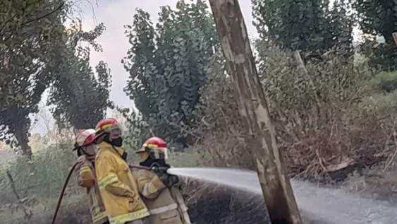 [FOTOS] Originado intencionalmente, un incendio forestal devoró una gran superficie