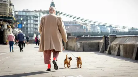 Turista con animales.-